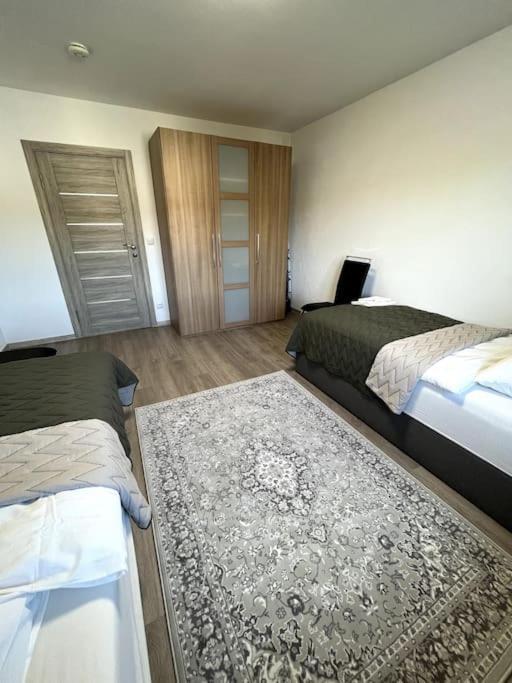 Familienwohnung Naehe Europapark, Messe, Gifiz See Offenburg Buitenkant foto